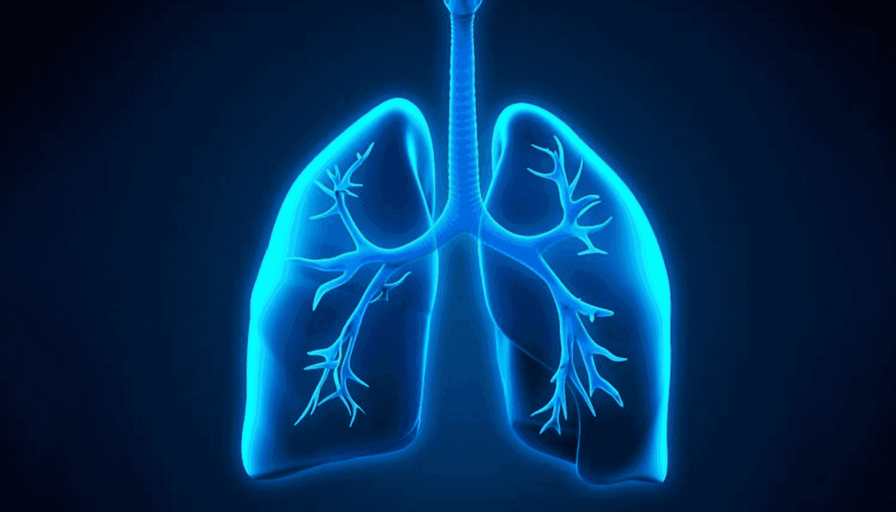 Lung Cancer Segmentation